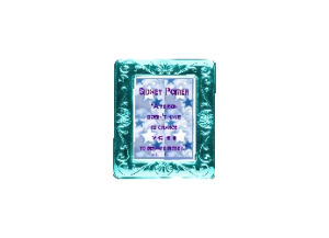 S POITIER 102110004 Frame