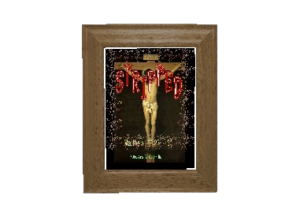 STRIPPED eGreeting Poster Frame