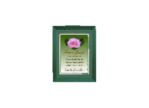 DAUGHTER eGreeting Card Frame