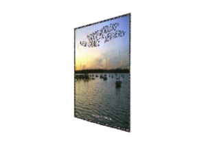 GRACE eGreeting Poster Print