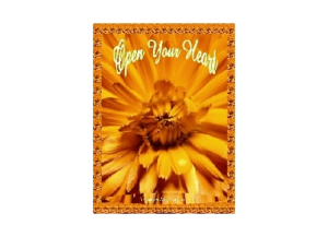 OPEN eGreeting Poster Email