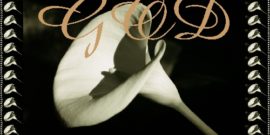 PATIENCE eGreeting Card