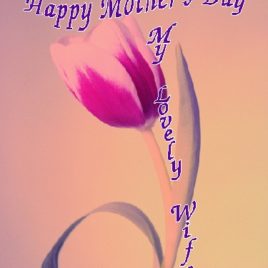 WIFE eGreeting Poster