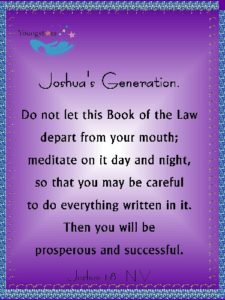 JOSHUA VIII 103100002
