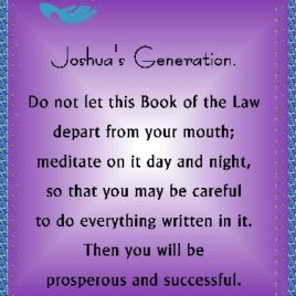 JOSHUA VIII 103100002