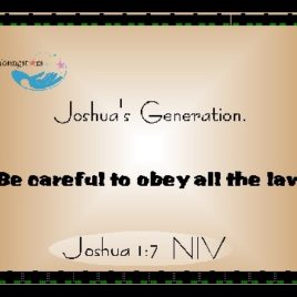 JOSHUA XVI 103100010