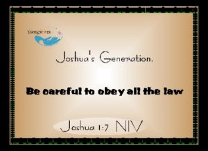 JOSHUA XVI 103100010
