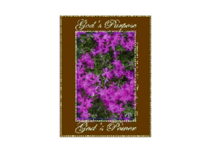 PURPOSE eGreeting Poster Email