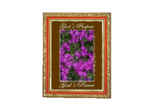PURPOSE eGreeting Poster Frame