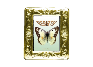 REBIRTH eGreeting Poster Frame