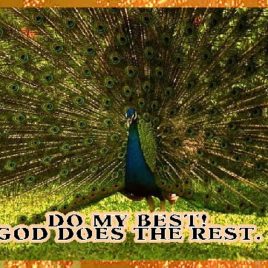 REST eGreeting Card