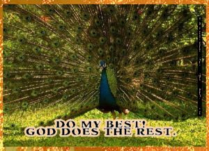 REST eGreeting Card