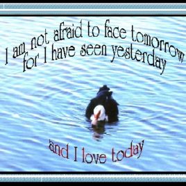 WATERS eGreeting Card