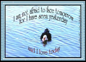 WATERS eGreeting Card