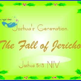 JOSHUA XXXIX 107100014