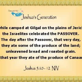 JOSHUA XXXVIII eGreeting Poster