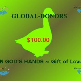$100.00 Global Donation