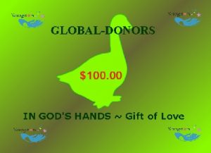 $100.00 Global Donation