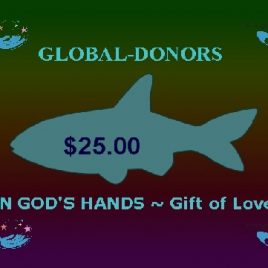 $25.00 Global Donation