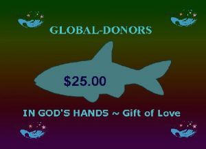 $25.00 Global Donation