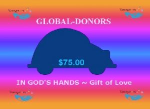 $75.00 Global Donation