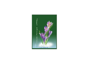 BABE eGreeting Card Email
