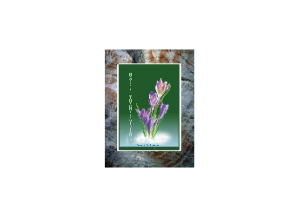 BABE eGreeting Card Frame