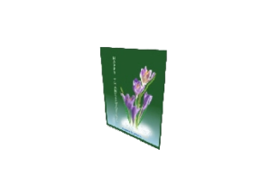 BABE eGreeting Card Print
