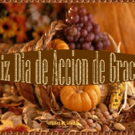 FELIZ eGreeting Card