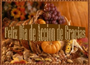 FELIZ eGreeting Card