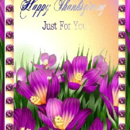 FELIZ eGreeting Card