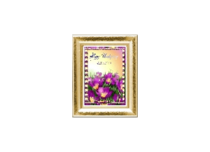 FELIZ eGreeting Card Frame
