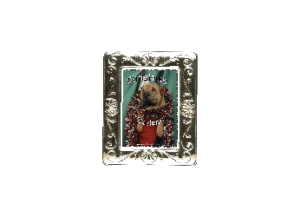 GARLAND eGreeting Card Frame
