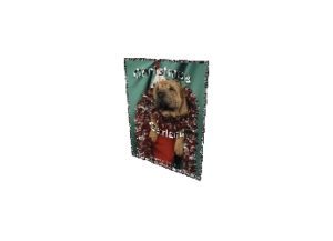 GARLAND eGreeting Card Print