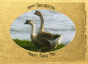 GEESE eGreeting Card
