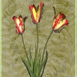 GIVING eGreeting Card