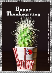 HANDSOME eGreeting Card