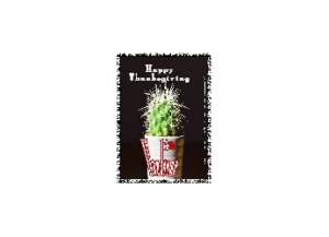 HANDSOME eGreeting Card Email