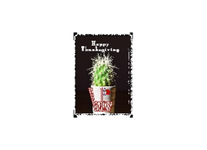HANDSOME eGreeting Card Frame