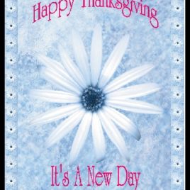 NEW eGreeting Card