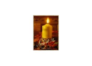 NOCHE eGreeting Card Email