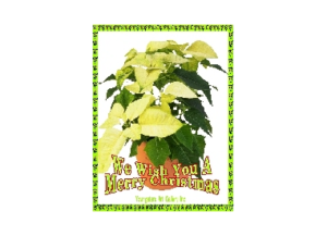 WISH eGreeting Poster Email