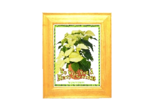 WISH eGreeting Poster Frame