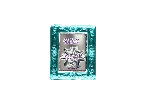 25 ANNIVERSARY eGreeting Card Frame