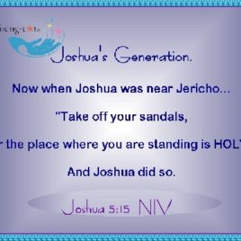 JOSHUA XL 107100015