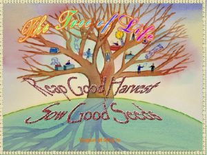 SEEDS eGreeting Poster