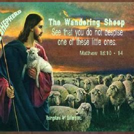 SHEEP eGreeting Poster