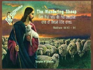 SHEEP eGreeting Poster