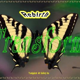 TRANSFORM eGreeting Card, INSPIRATIONS COLLECTION, Lifetime Downloads All Occasions $1.00 eGreeting Cards & Posters, Next Generations, ages 7 to 25, Funds Better Education Tuition & Scholarships, Quality Healthcare (Out of Pocket) Cost, + ONE Dream Come True, Shares ½ (.50) with other nonprofits, Memorable Gifts Email Print Custom Frame