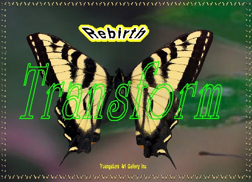 TRANSFORM eGreeting Card, INSPIRATIONS COLLECTION, Lifetime Downloads All Occasions $1.00 eGreeting Cards & Posters, Next Generations, ages 7 to 25, Funds Better Education Tuition & Scholarships, Quality Healthcare (Out of Pocket) Cost, + ONE Dream Come True, Shares ½ (.50) with other nonprofits, Memorable Gifts Email Print Custom Frame